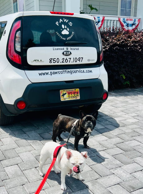 Paws Sitting Service car 