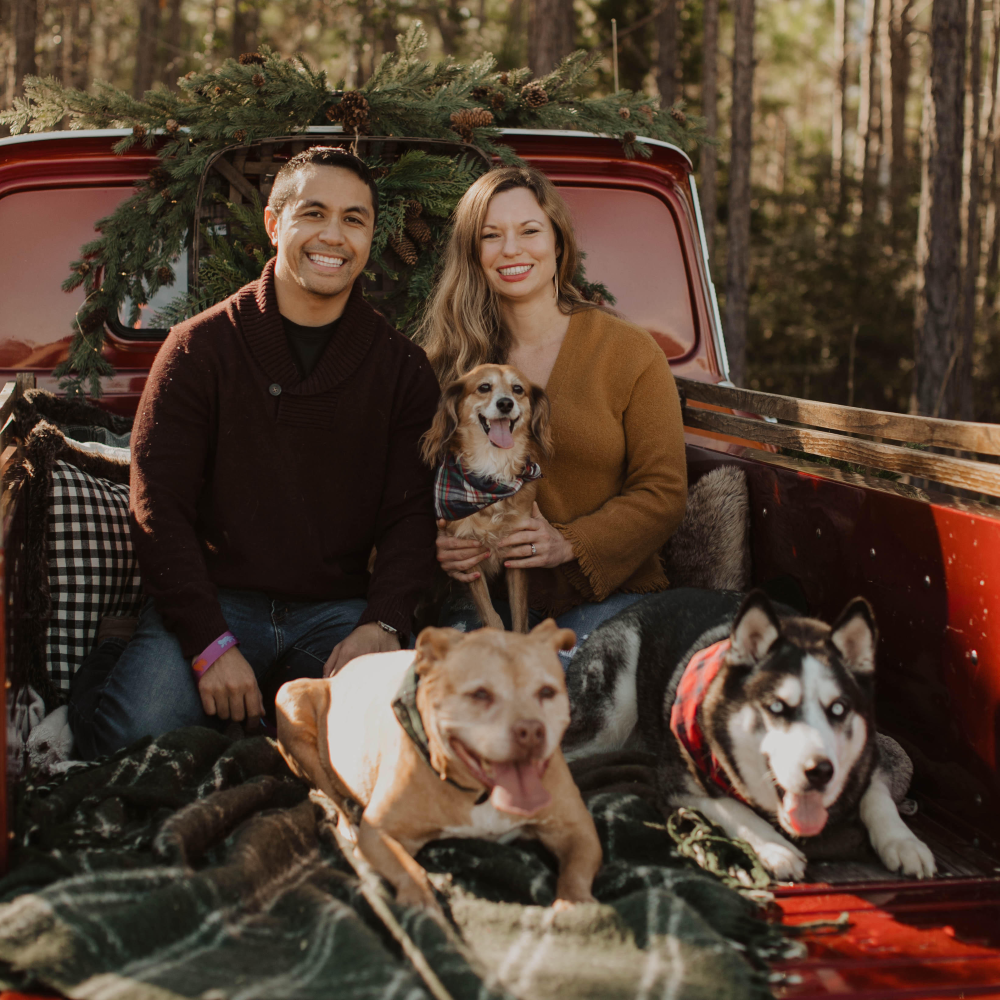 Paws-Sitting-Service-This-is-my-Chair