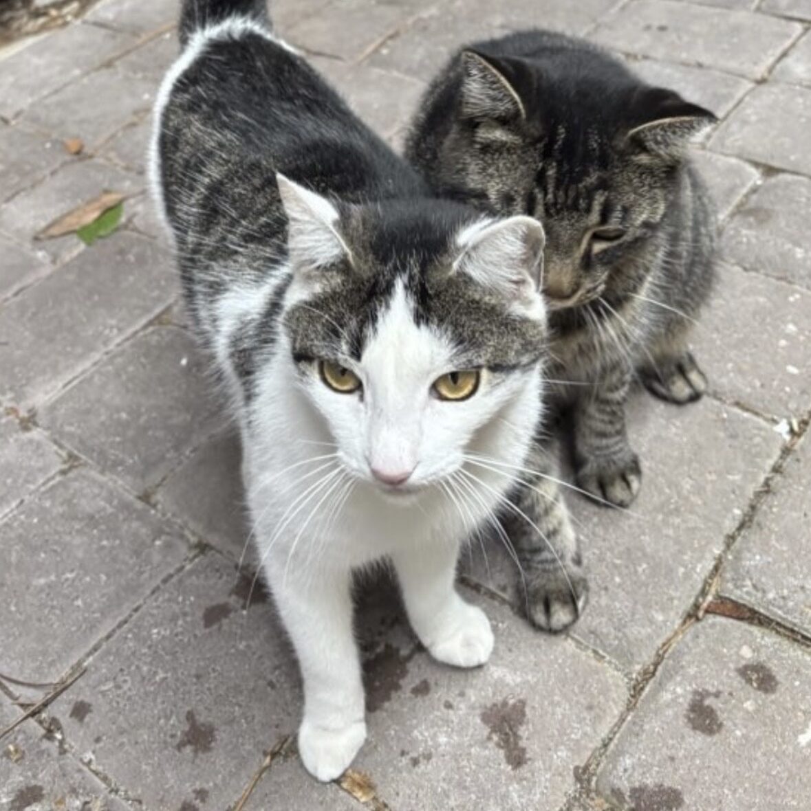 Laura from Paws Sitting Service holding puppy