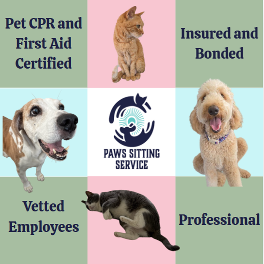 Paws Sitting Service car in driveway with golden doodle