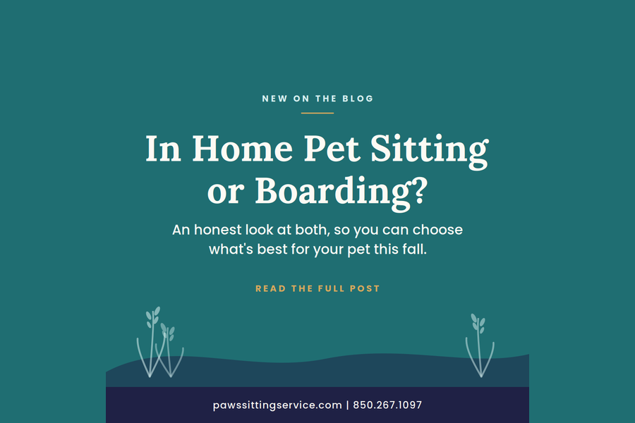 Blog 4_ In Home Pet Sitting vs. Boarding- What's Best for Your Pet This Fall